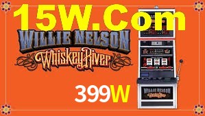399W App Interface